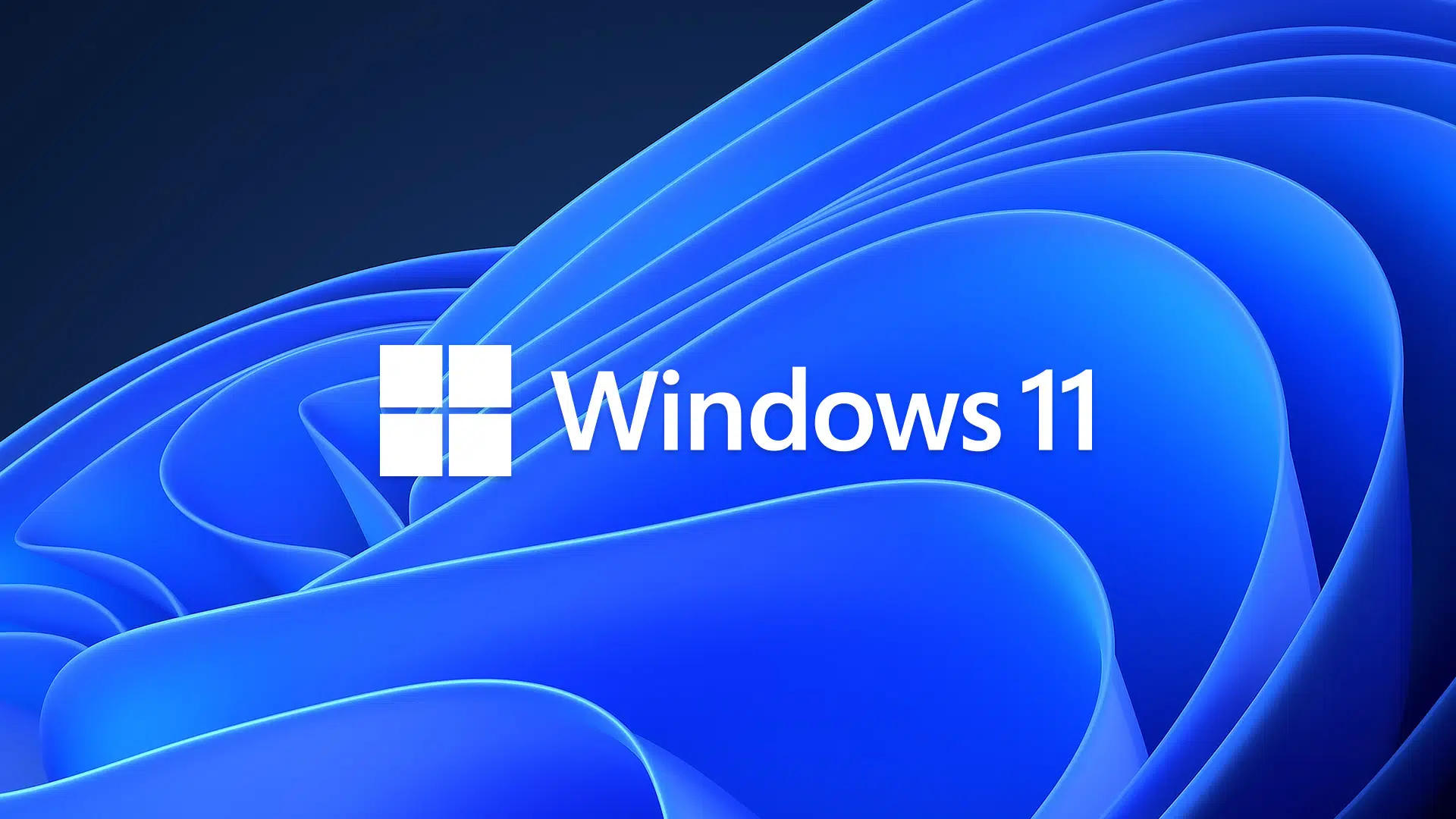 Fundo do software Windows 11