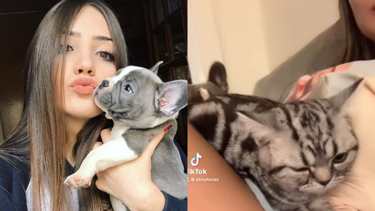 FF: Aline Farias realiza resgate de animais abandonados ao lado dos pais