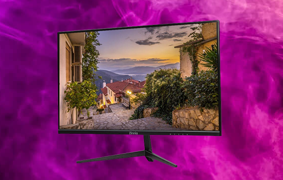 Conheça os monitores Zinnia Delfos