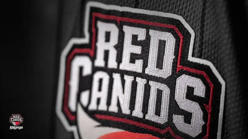 CS:GO: CEO da RED Canids revela que organização estuda retorno à modalidade