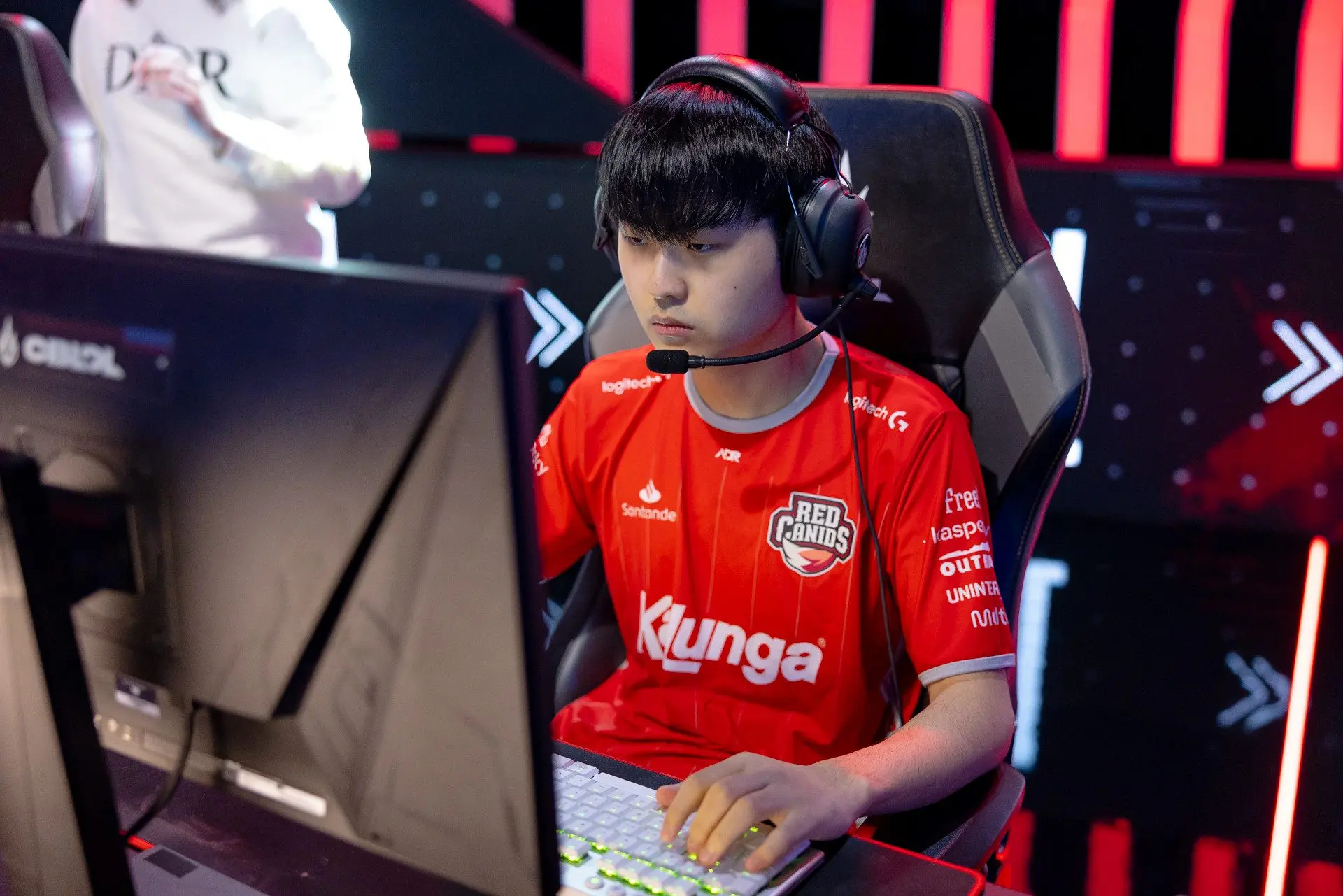 LoL: Kuri é o mais novo reforço da paiN Gaming, revela site