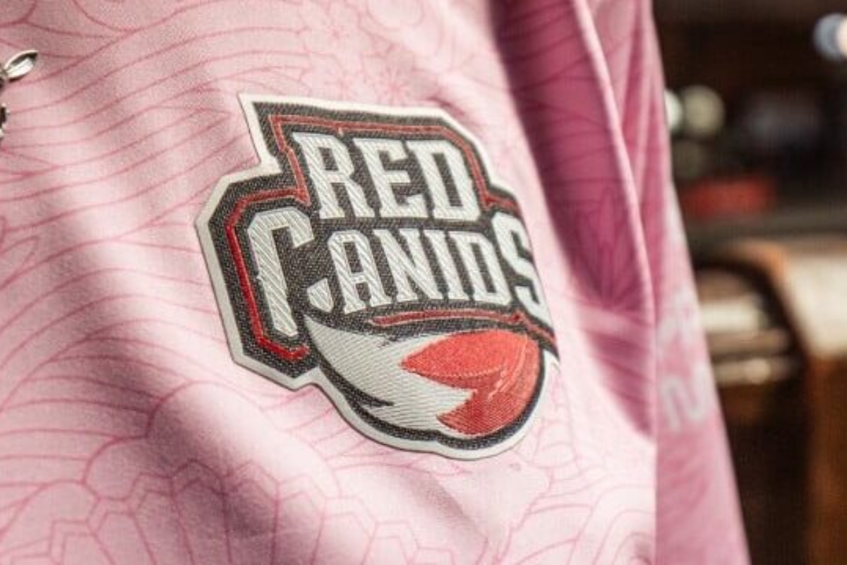 Red Canids anuncia projeto dedicado a mulheres no cenário dos eSports