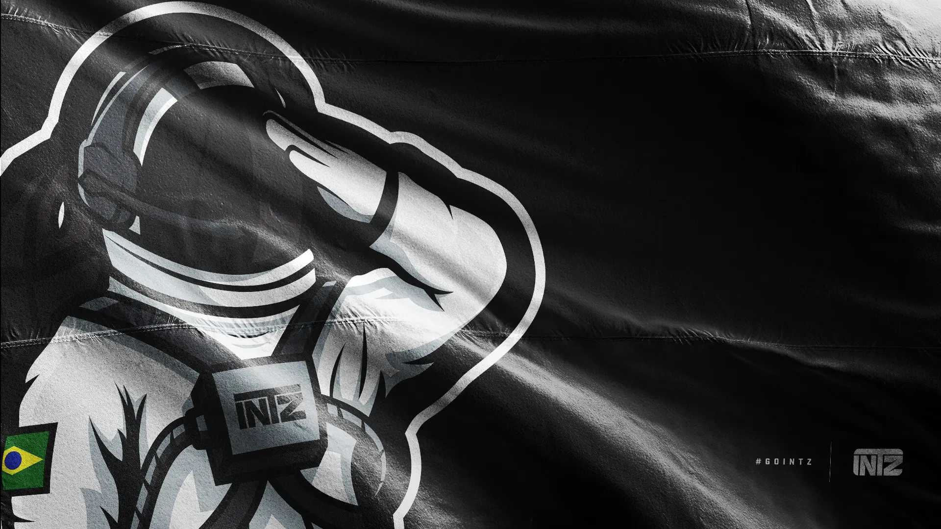 CS2:  Após um ano afastada do competitivo, INTZ anuncia retorno com nova parceria