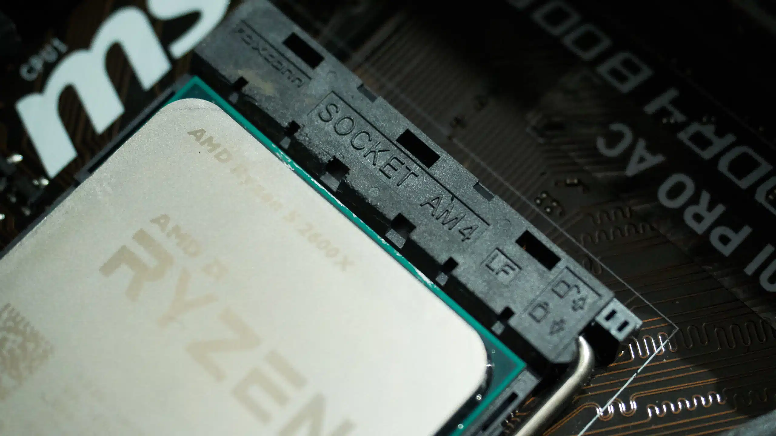 AMD