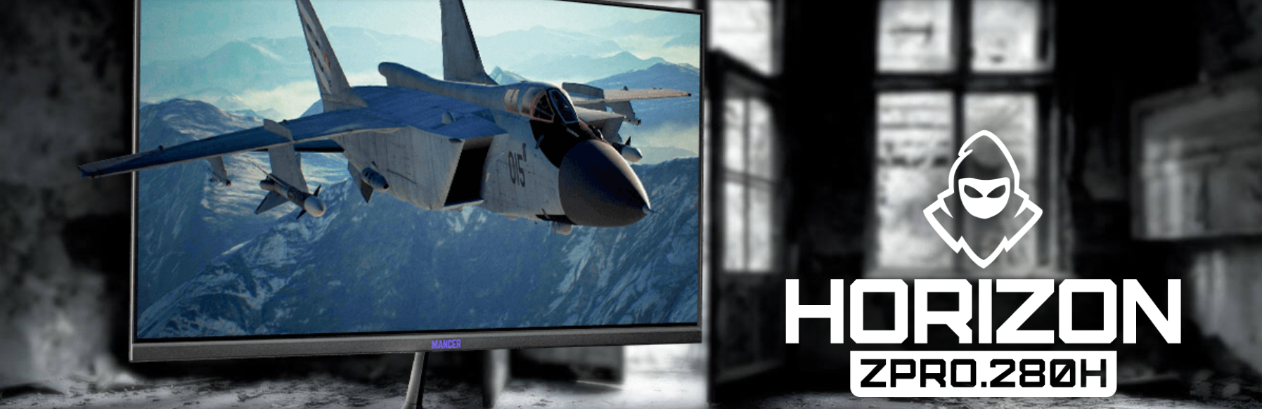 Monitor gamer