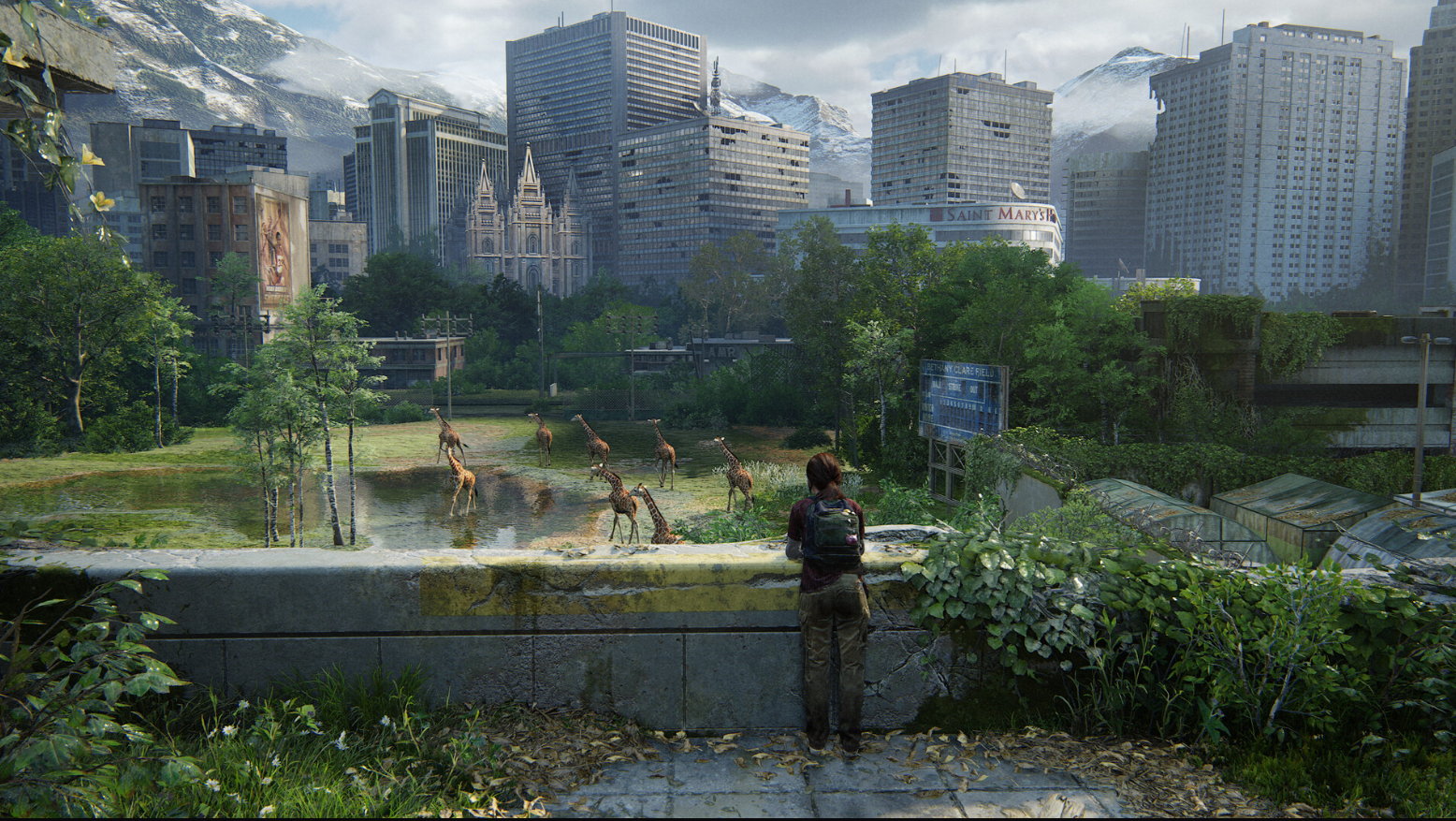 The Last of Us