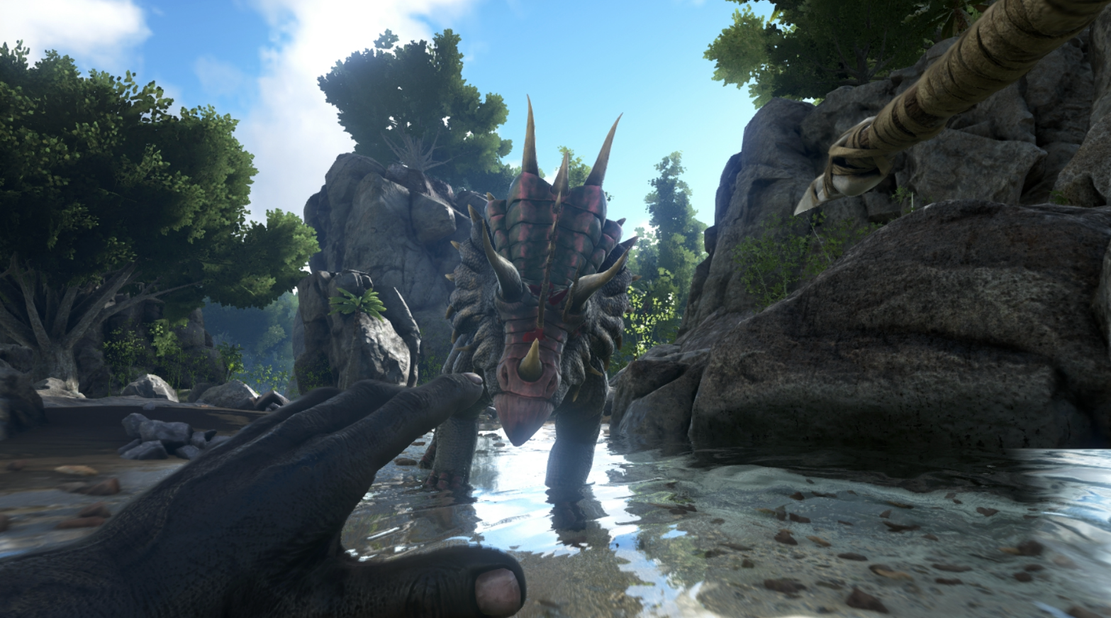 Ark