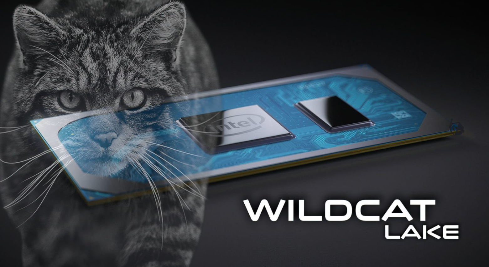 Intel