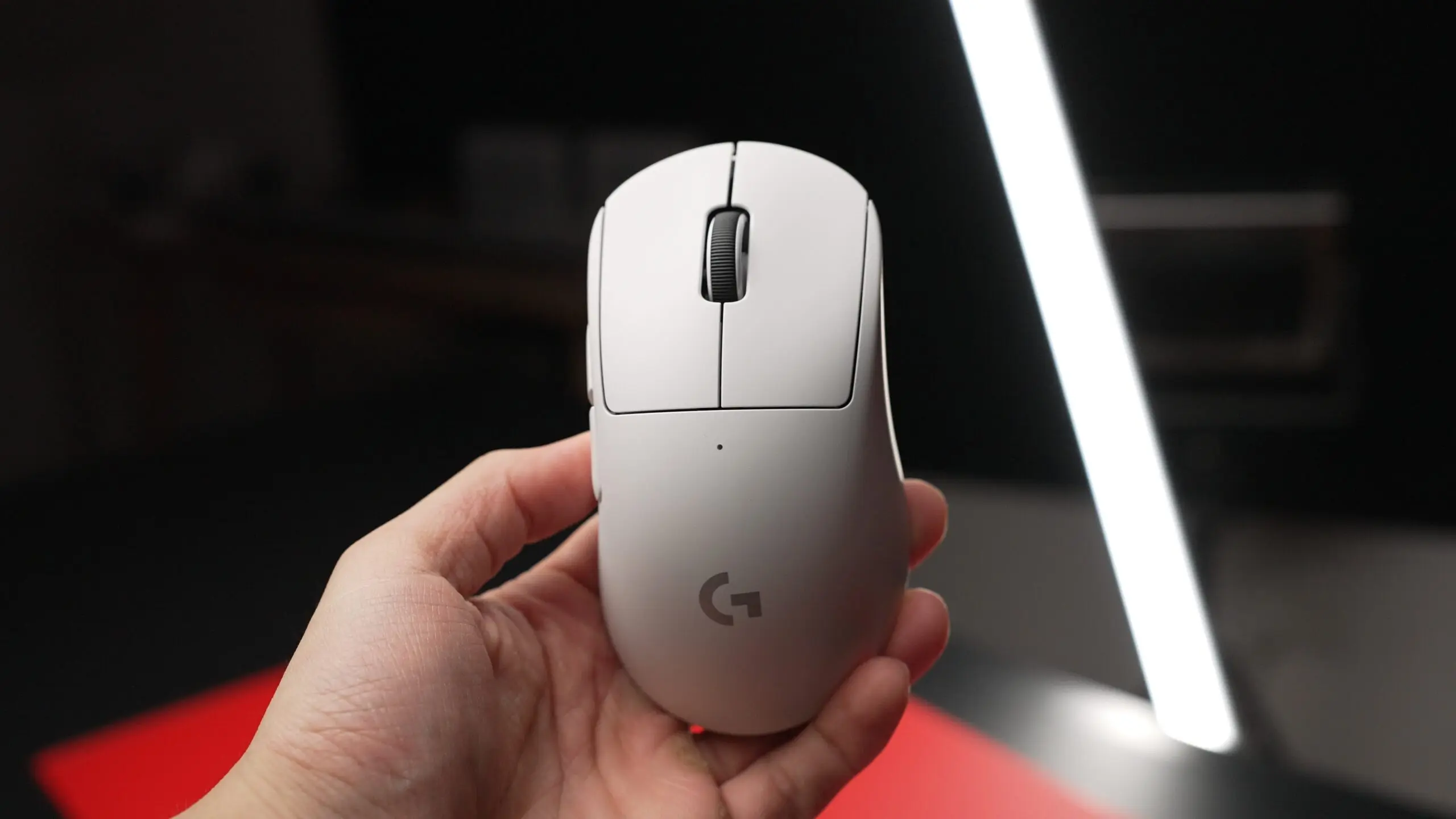 Mouse sendo segurado