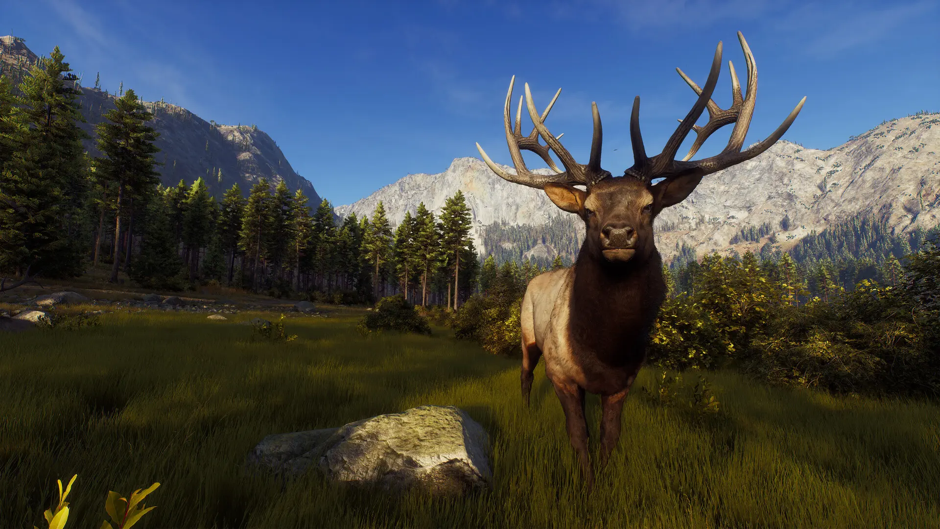 Requisitos para Way of the Hunter Elite, simulador de caça realista