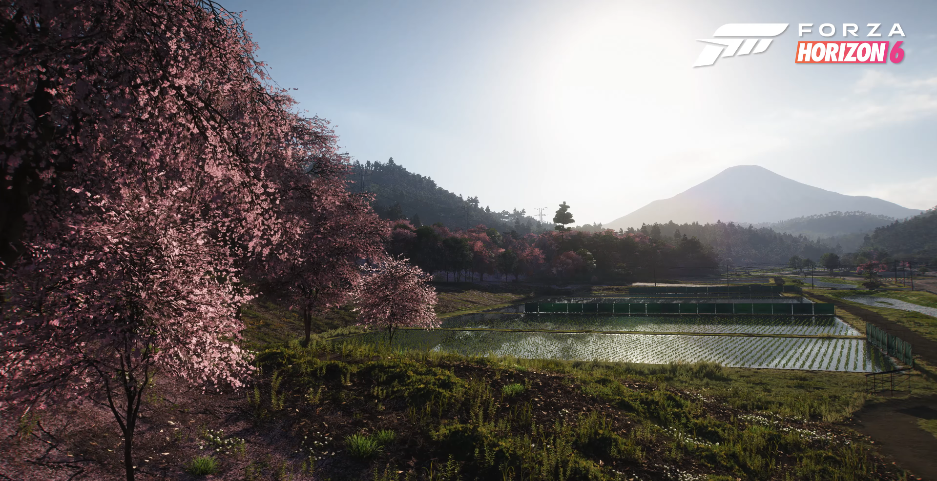 Forza Horizon 6 revela biomas do Japão em novos teasers