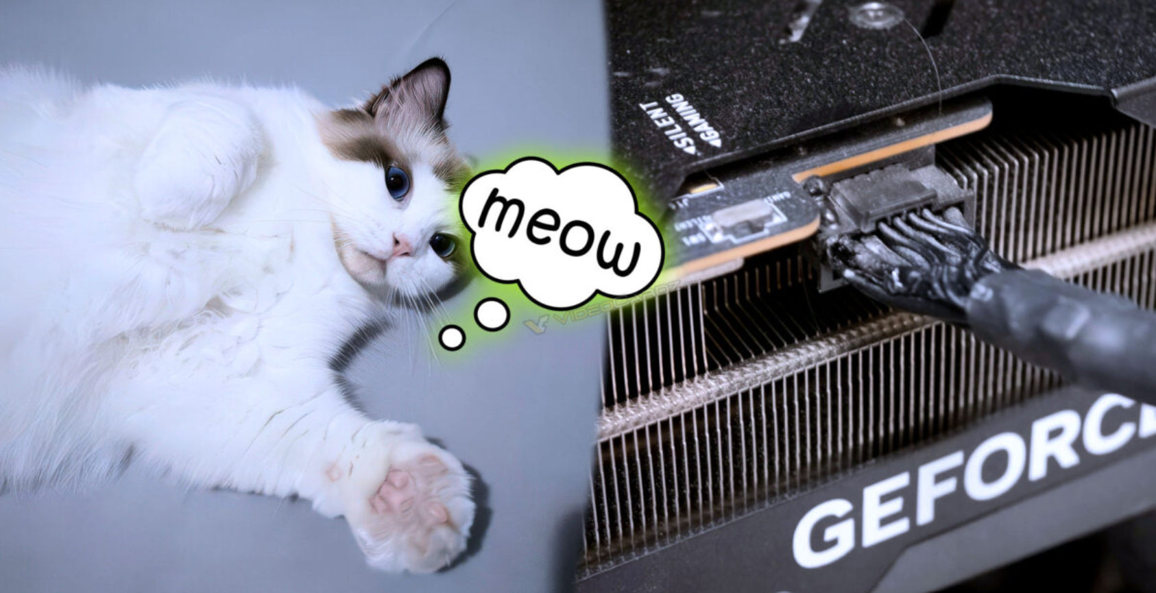 Monitor falhou, o gato não: felino evita tragédia com GPU caríssima 1 GPU
